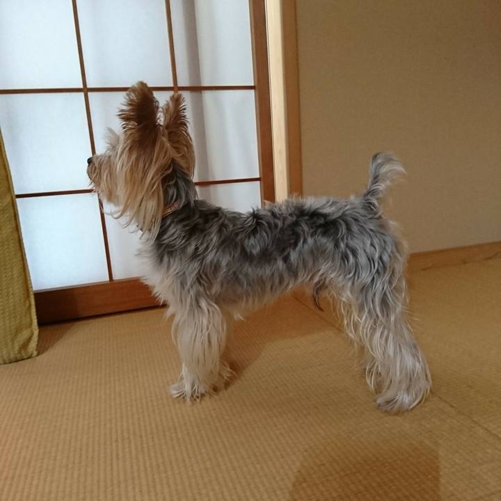 D9e4226d 5a5e 42ed 8439 7f300339c8fb 1537745322427