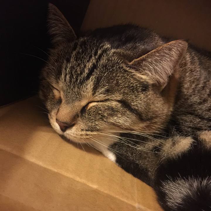 D9e4676c 5087 47f8 a5d2 2eae1e5a4c85 1549724950696