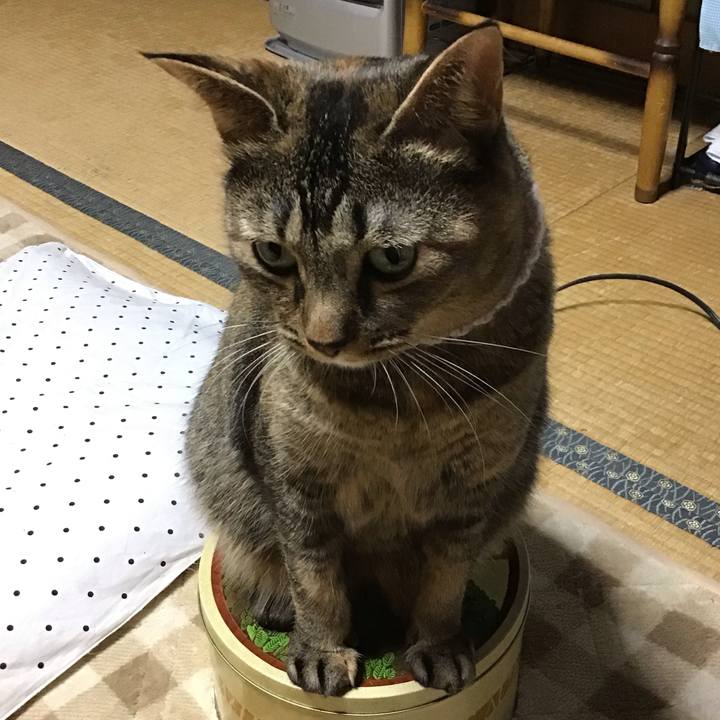 D9e467f5 3991 4dcb 9b12 4a0ecd2ea931 1667305920755