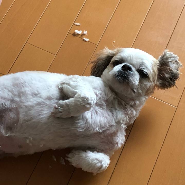 D9e47ffd 020d 4629 81ba d81d1c7b6cd7 1563745244903