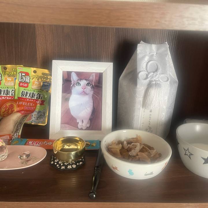 D9e4c305 c9a3 4e02 bb91 01b6683bc376 1643761262707