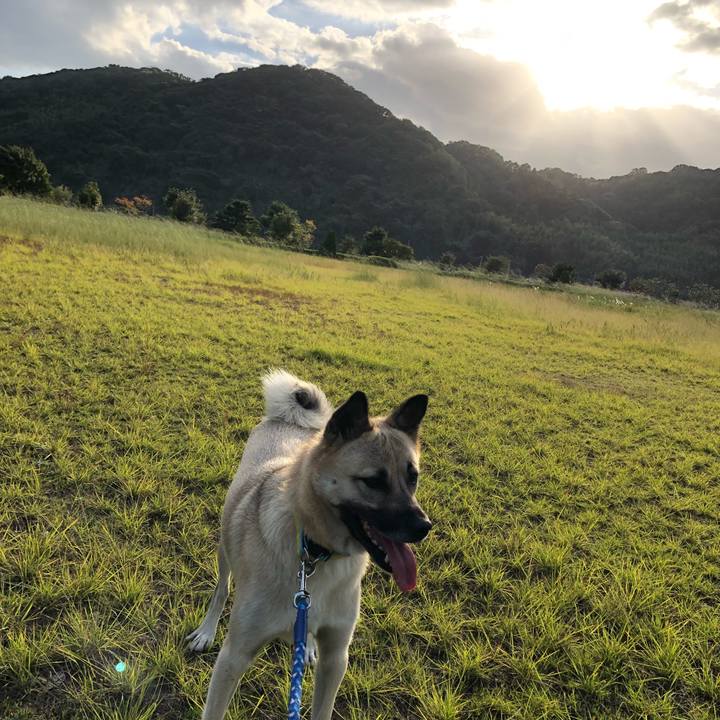 D9e4c47d 928a 48a4 98a4 076bcec6d60d 1540645107642