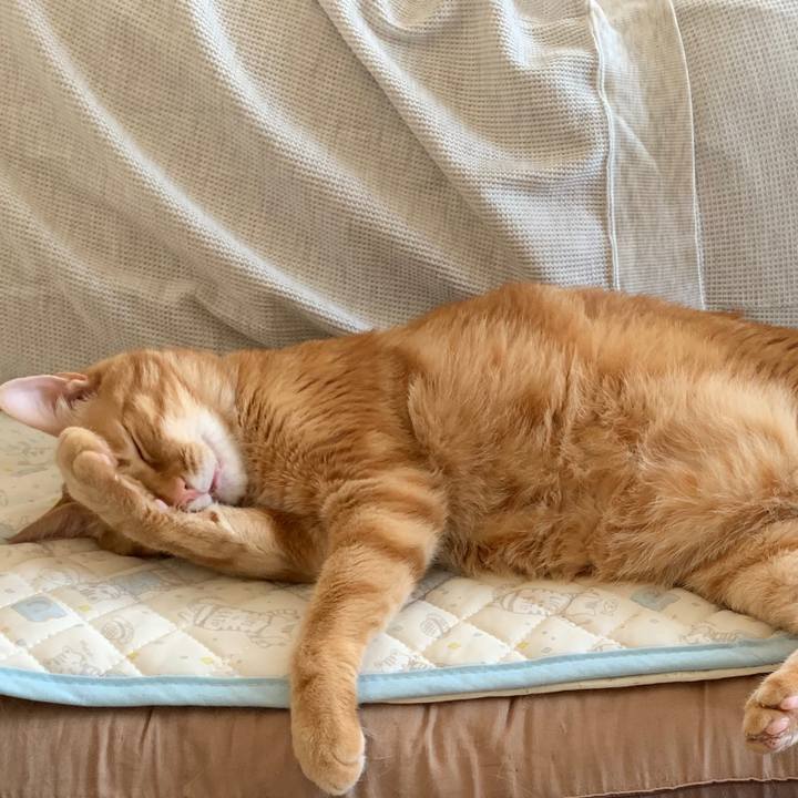 D9e4dedf 7082 4805 86c8 e13359db445d 1593259250625