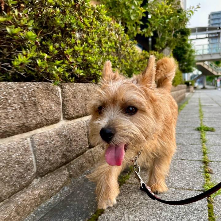 D9e4ff9c 7606 4b93 bb23 f13e3245af2a 1721634245292