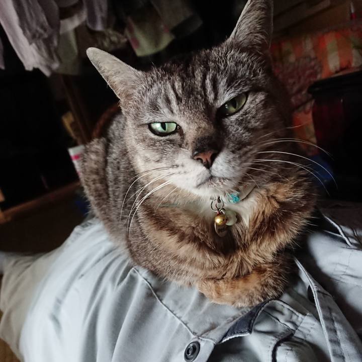 D9e51baa 6c4a 4b90 ad99 9fa59dde3be1 1561193122339