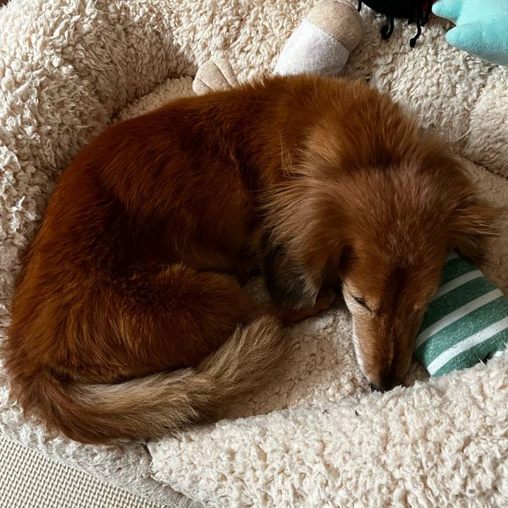 D9e51d17 bb49 4314 bfa0 7e973786c53b 1661430329837