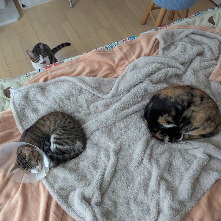 D9e5285a 70a2 44e3 afcc 34d07a7e8a62 1736852373310