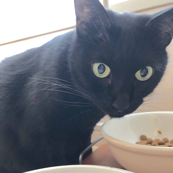 D9e541de 8b79 403a 8da5 746a701356af 1542935127020