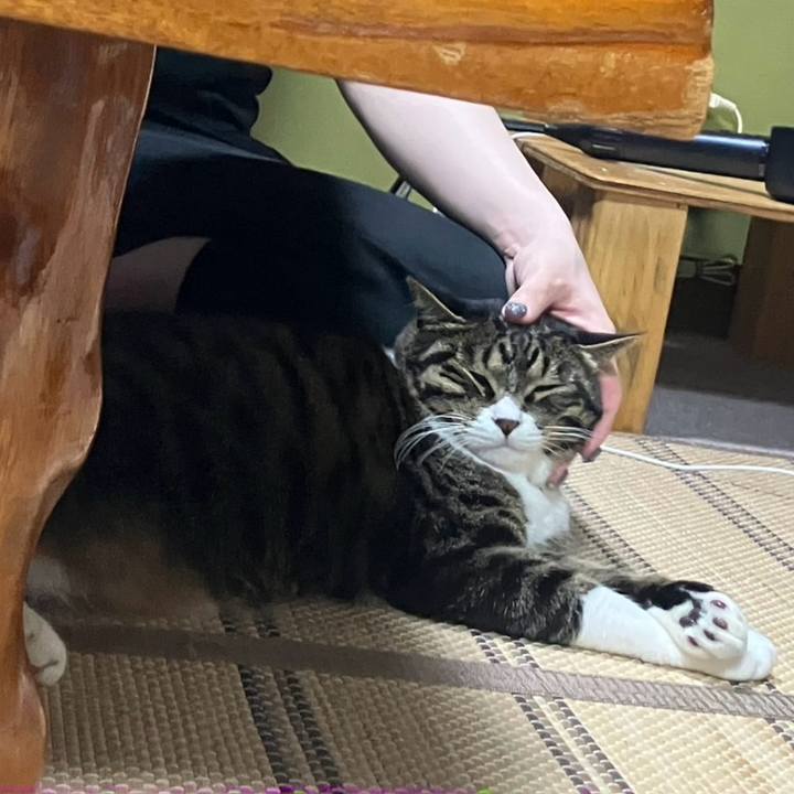 D9e55505 227e 478f 9498 d1dfcae1a807 1775518740950