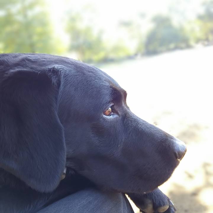 D9e56509 625b 4cea adbe 9b2c0845770a 1691809884672