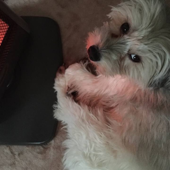 D9e58546 1742 4f41 b3a1 ea116d77e9e2 1521620466441