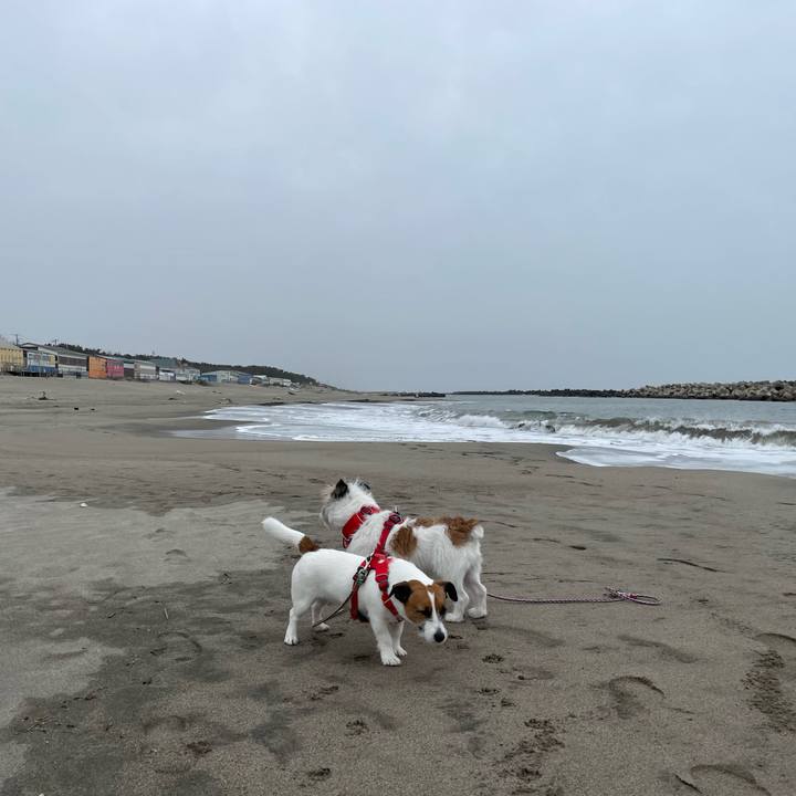 D9e5a97b 8a03 46bc b4d8 c30fae2ef744 1679706915722