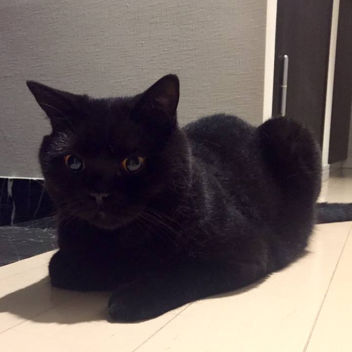 D9e62520 63c1 40cd a0e5 0f0e045442ec 1568032536105