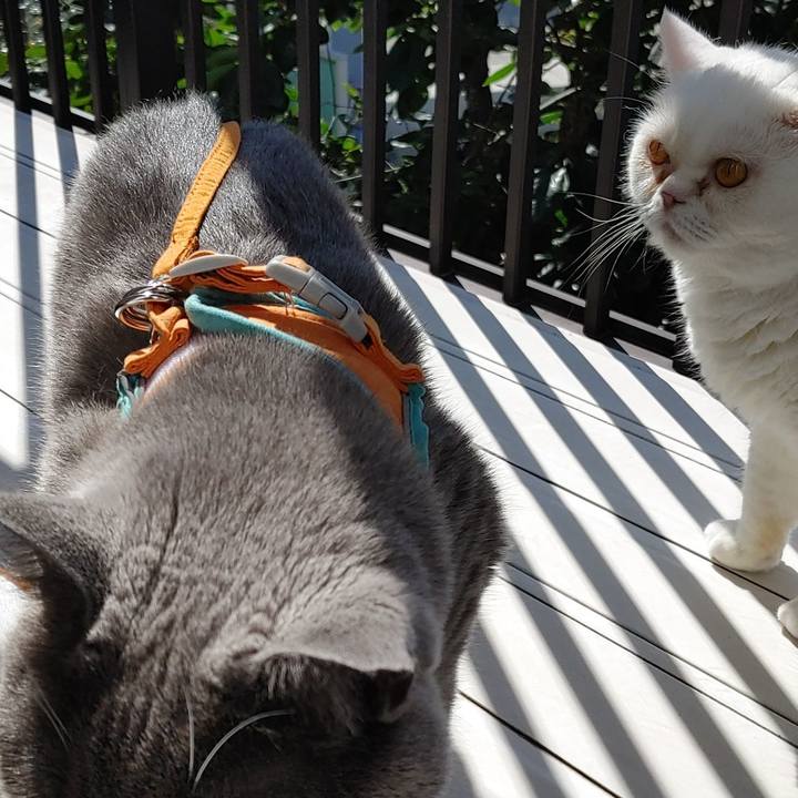 D9e62a0c fd7e 4e33 83aa 90305b8a924b 1658619786271