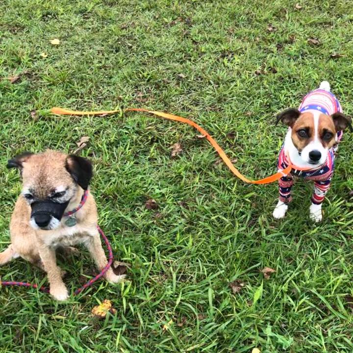 D9e65b66 4eb4 4679 a0b0 1fe2e03cc74d 1567488951607