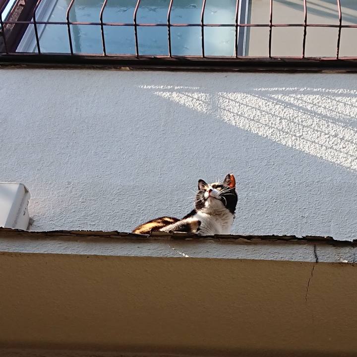 D9e682b6 9651 4b44 9c23 b8d7898f85ed 1651532832235