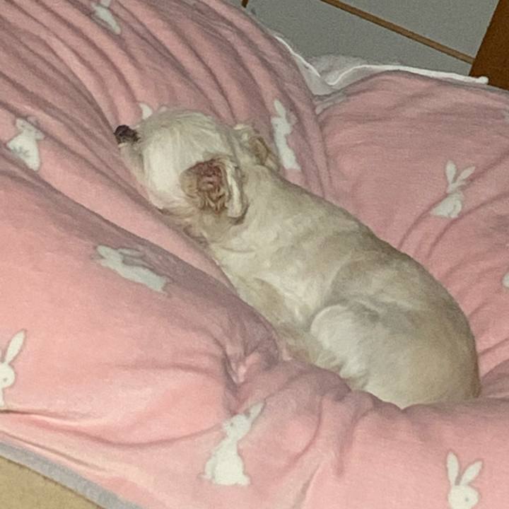 D9e6a0d9 6dd4 4c1c 817b 65450f4cd7ab 1641381182098