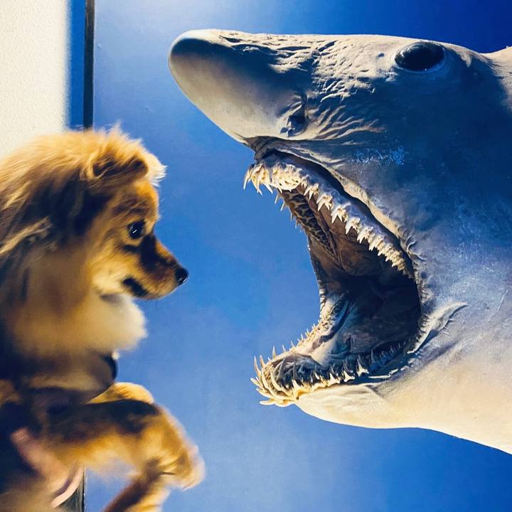 D9e6a116 94e1 4009 9155 cb0d6112b4d5 1614655419205