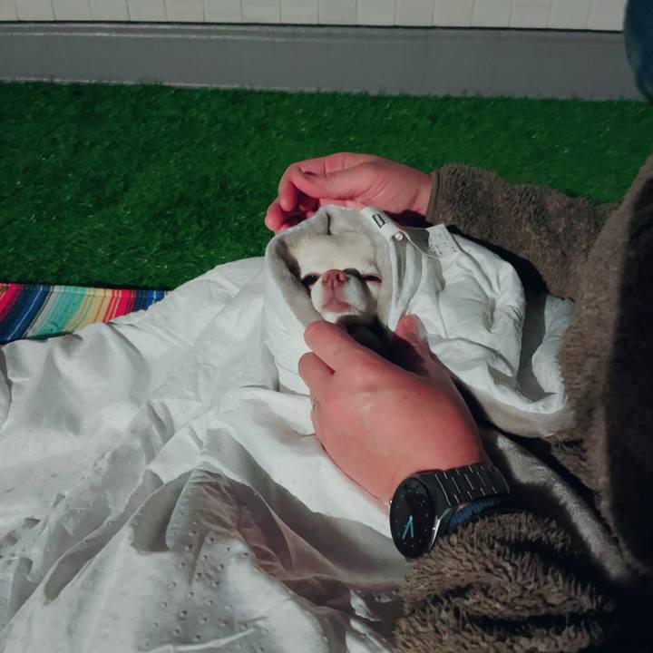 D9e6a3bb 7736 4aa4 9f13 f82079c0997f 1704453414637