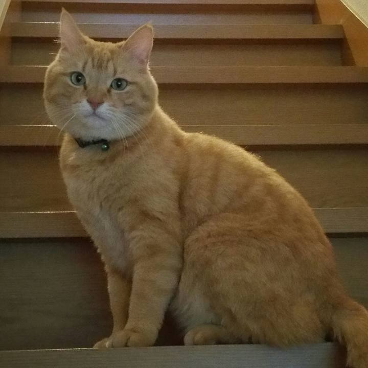 D9e6e850 a445 4c39 a259 f985c89fd40e 1522921732502