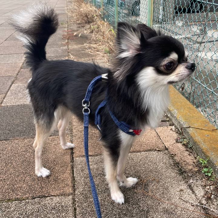 D9e6ecd0 5a74 4535 a521 96476ee4a398 1632629334905