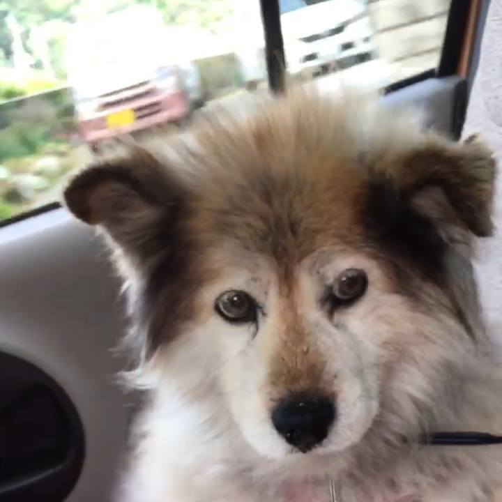 D9e6ed8f ccf3 4044 8d1c bfb315deb08c 1615246525512