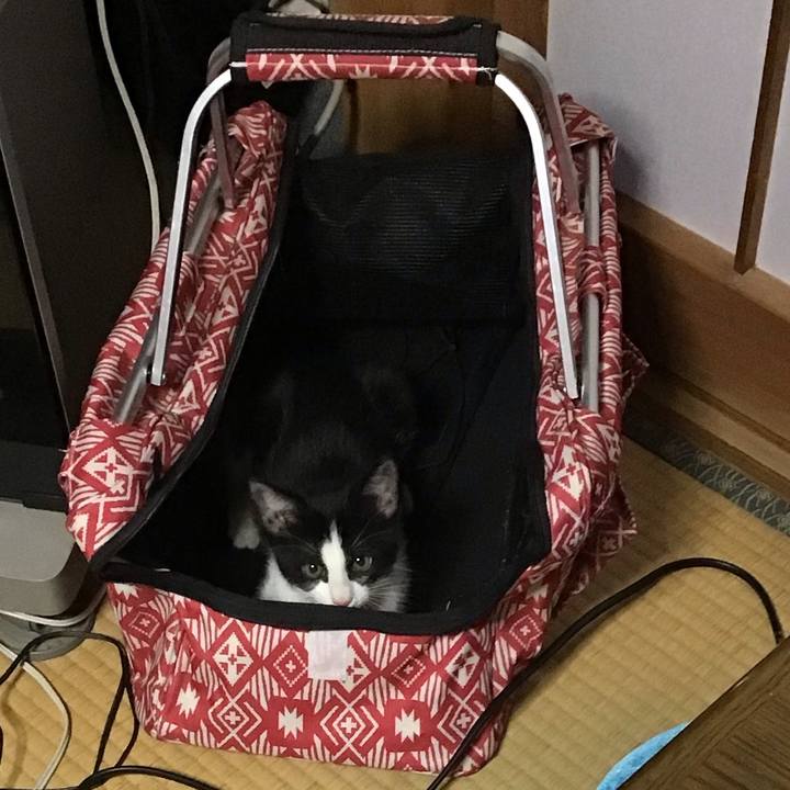 D9e6f1ef cb99 402c 8ffc 8ee2be7e28e5 1625910945300