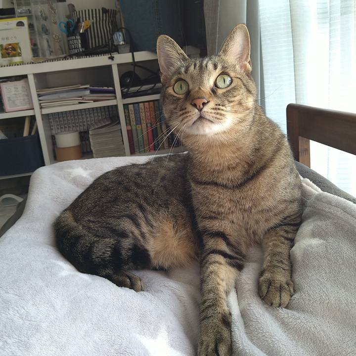 D9e6fdeb b482 4517 bc72 2d9b6f16bfae 1698468035879