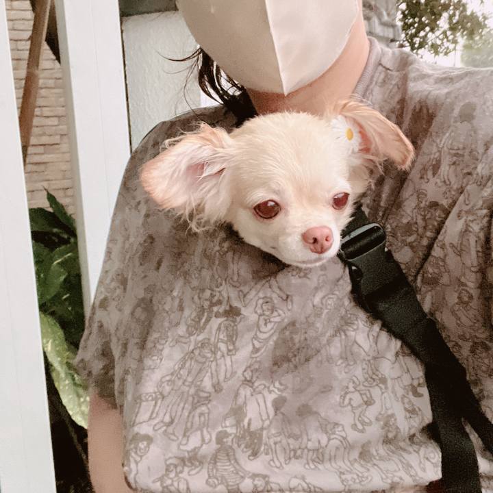 D9e704f1 d9b1 4850 bb00 5c80022c9436 1662025854164