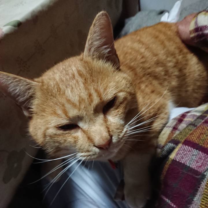 D9e70d37 9944 4647 a99d 3e63f574f1db 1574113624233