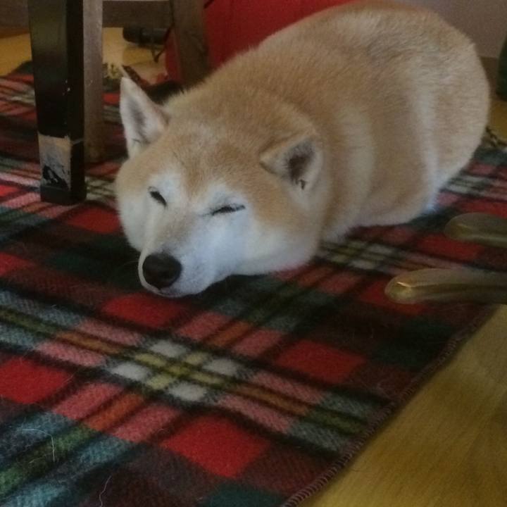 D9e72695 34f5 4986 a543 be3f3b4ac1d7 1582555920962