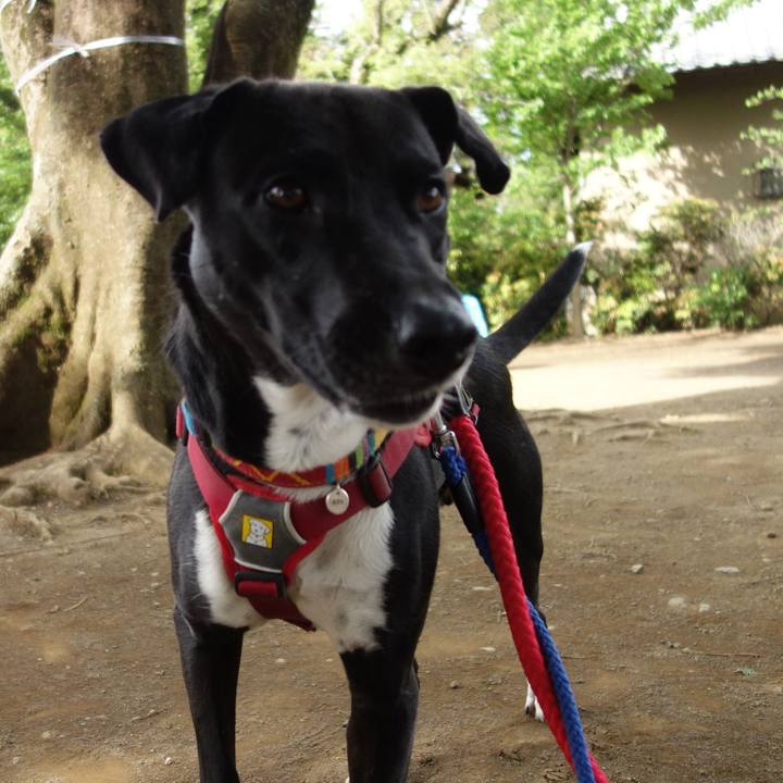 D9e748d4 11fc 428b b970 74afb4de462d 1588901294458