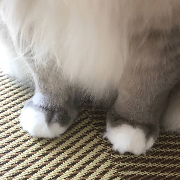 D9e7a2d2 7e70 41fc a4f7 632d25dc08c4 1521264848581