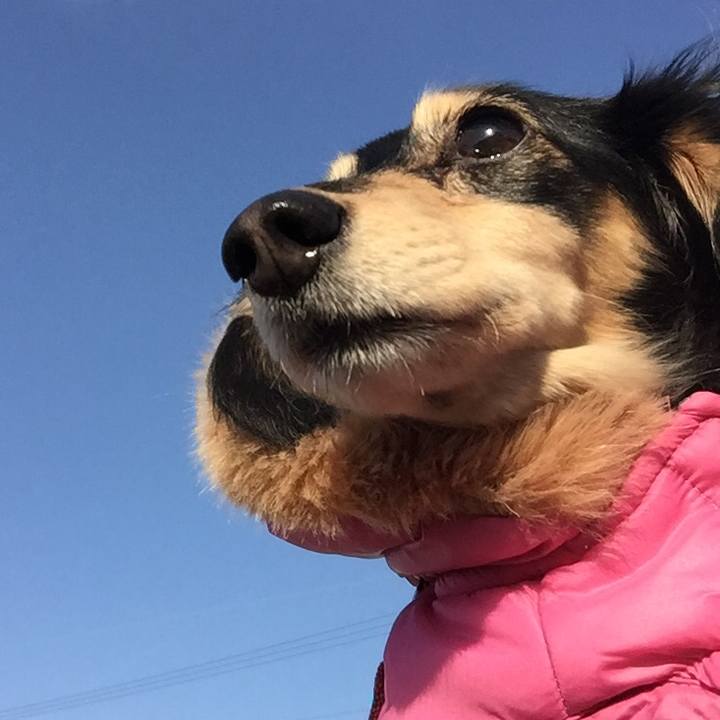 D9e7d454 d52f 4035 901a 4b3c8f892071 1516321501615