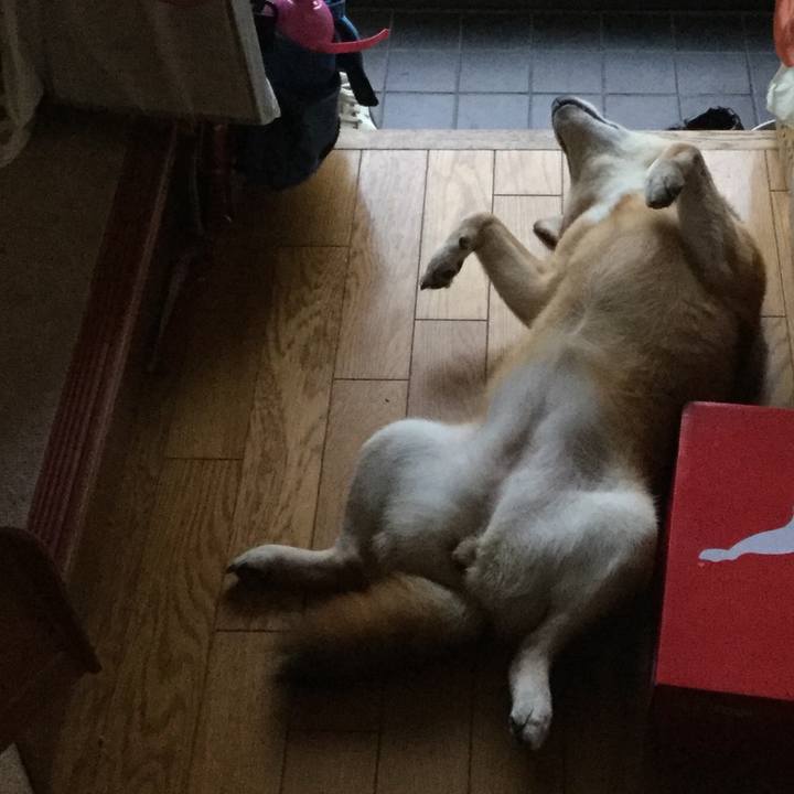 D9e7f7c3 9900 481c 8bdc 6aa15fa5824a 1567761512065