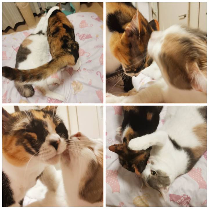 D9e7fff7 3831 4179 9368 b491e2f81c24 1623560511450