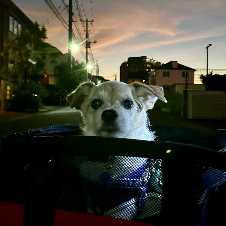 D9e80bed 5433 44c8 9c7e 4d732a859dda 1757069418312