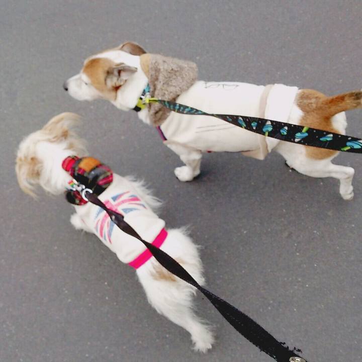 D9e814f5 25b8 4b96 b809 07fb35e08121 1518848979461