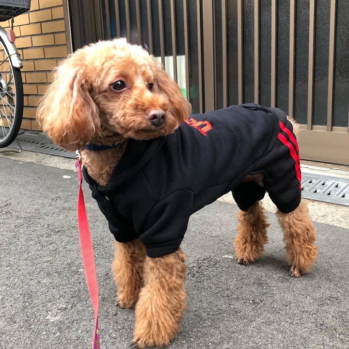 D9e824a9 b58a 470e 9274 fe959e45b012 1575681112732