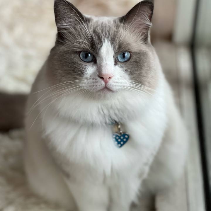 D9e85aca ba29 42bd a505 f15a79ab1a2b 1663883645535