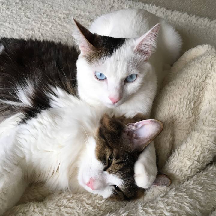 D9e867c3 431b 487d 9409 7d3f9589beda 1548379907539