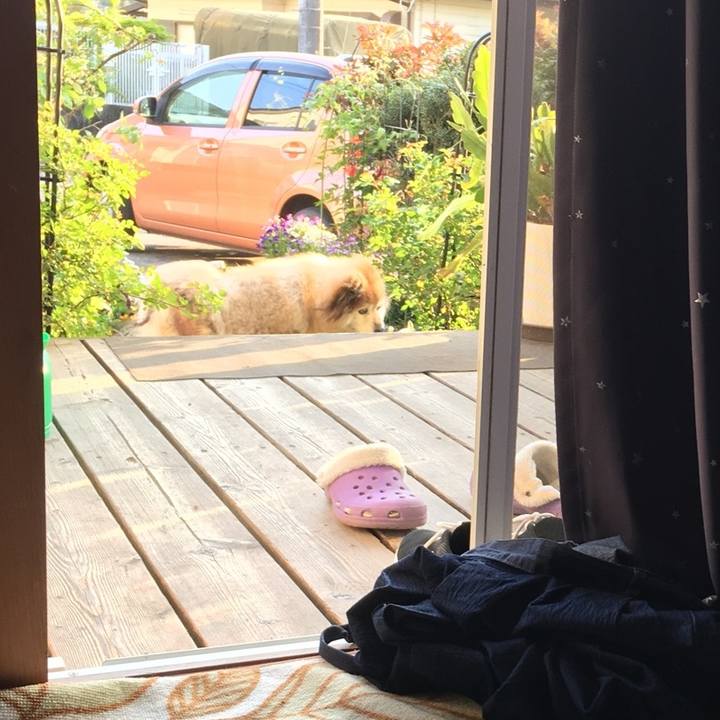 D9e87eb2 114b 4718 9932 8147a1a99ffd 1562837697836