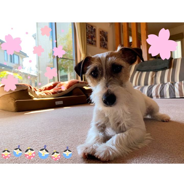 D9e8baae c5ce 434e af17 53348053988e 1583226915529