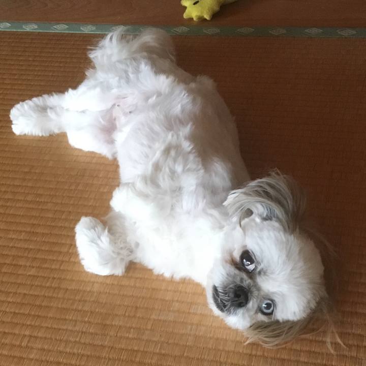 D9e8f61e 0bdf 440a a1d9 f1b99c24675a 1528456902423