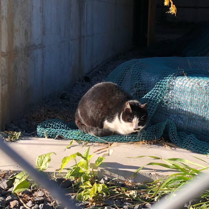 D9e908a3 7d16 4bc9 ba2e 32d85a9856f3 1547047204554