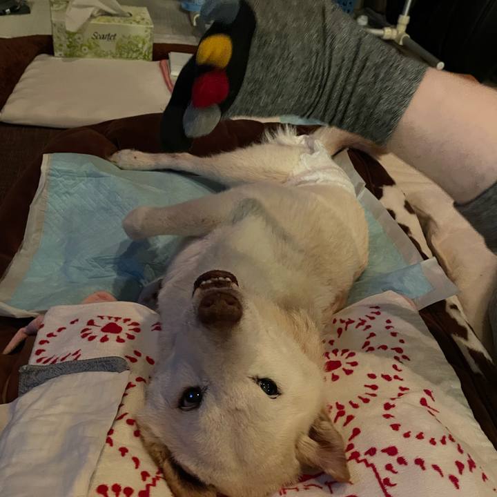 D9e926f3 86e5 4217 94aa fbf39e86ad61 1678285453331