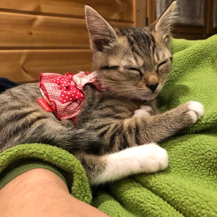 D9e94321 3225 4126 bd46 c2b233be94d6 1544100070448