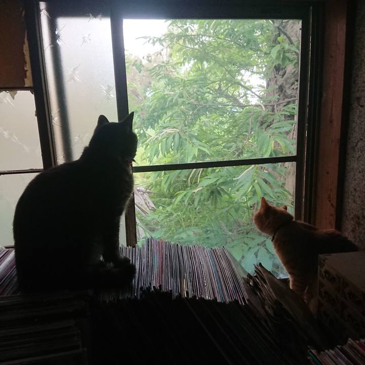 D9e98dec 2f52 446e b8f9 8647a32d3189 1656452815784