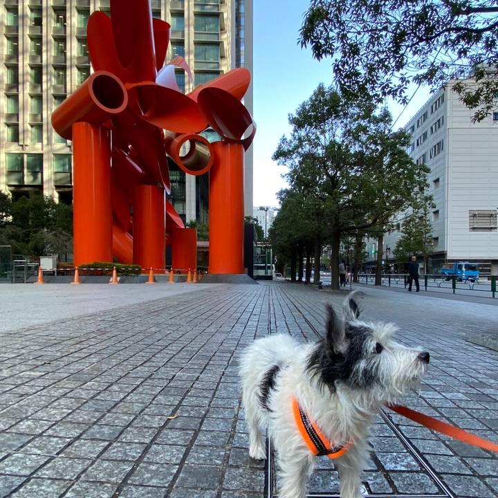 D9e99457 e369 4542 a835 c6b72332de25 1572873161277