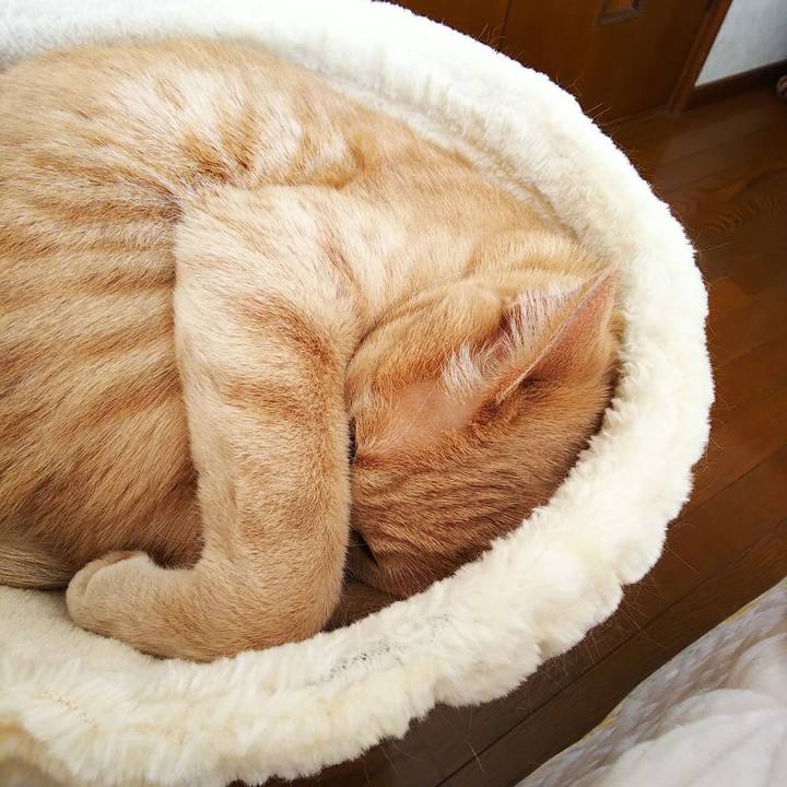 D9e9a41c 0323 4c4a 9ce4 cee0266bf9e2 1588392992222